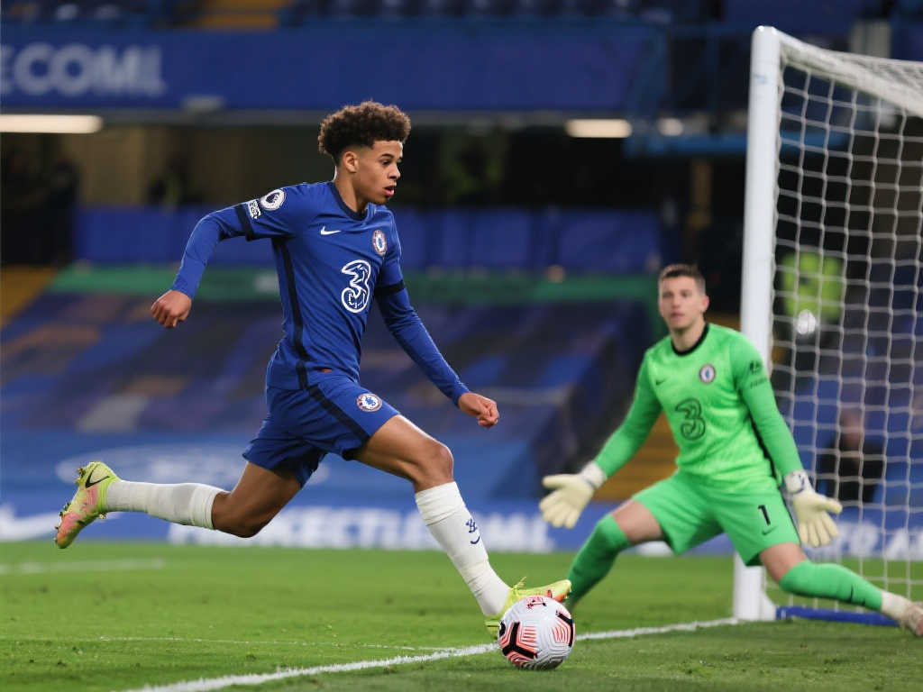 管理團隊的 管理團隊的